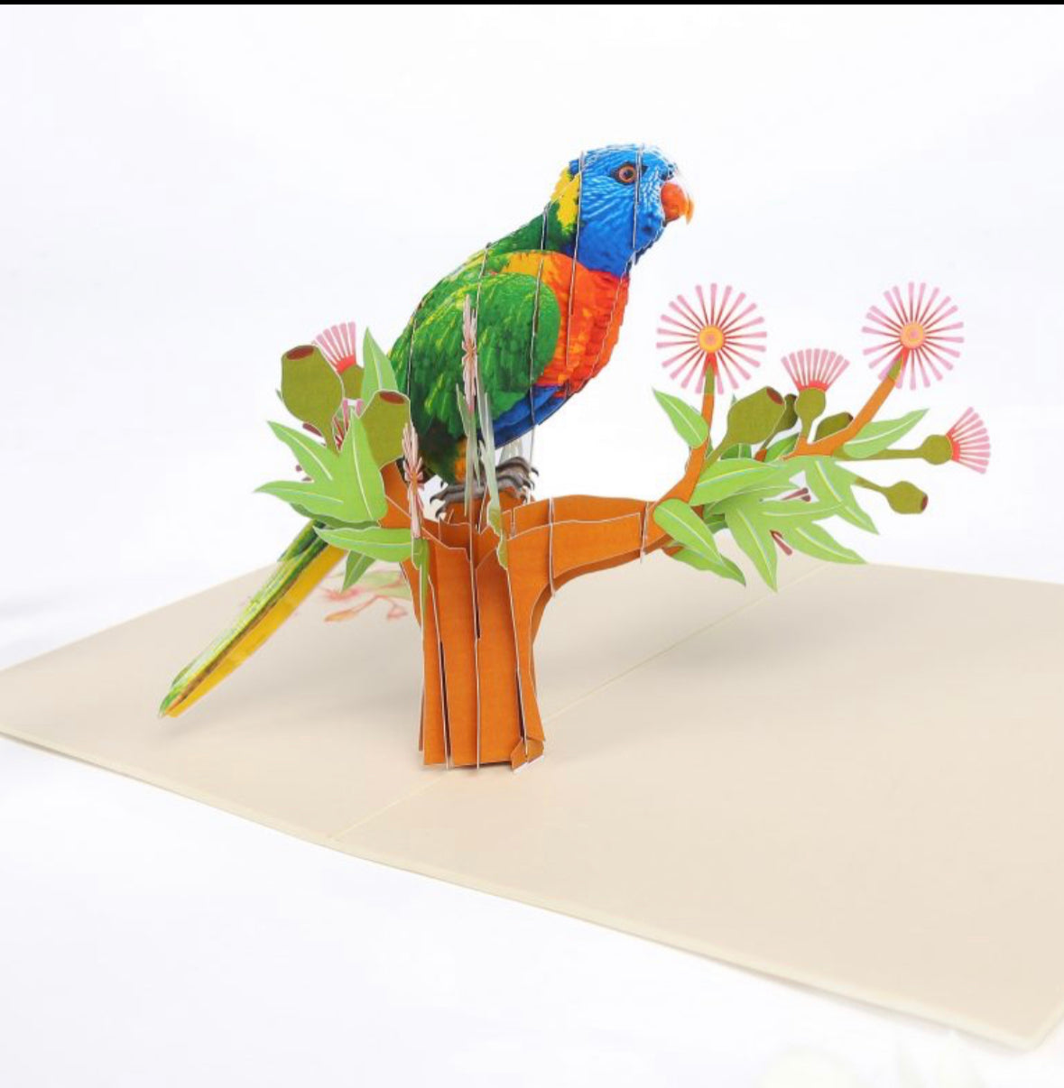 Perching Parrot Card