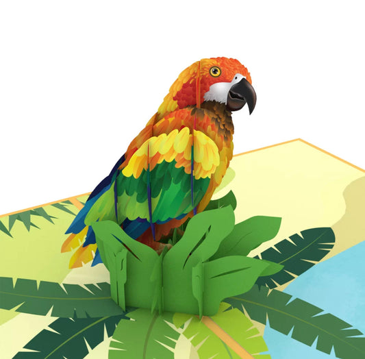 Colorful Parrot 3D Card #1