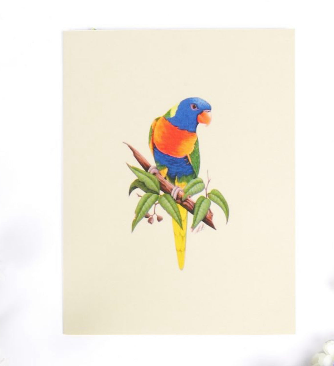 Vibrant Colors Perching Parrot #2