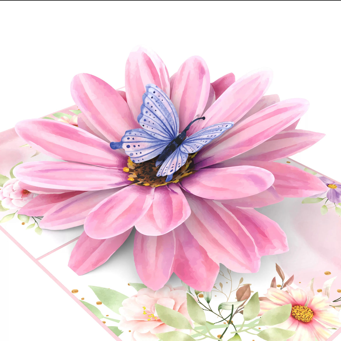 Lovely Gazania Flower with Butterfly