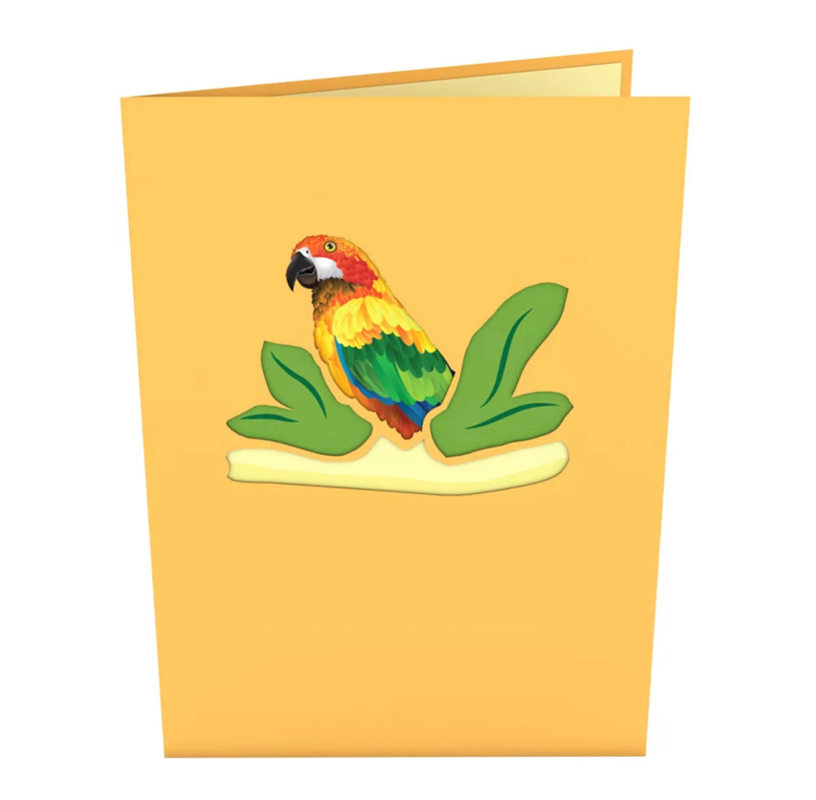 Colorful Parrot 3D Card #1