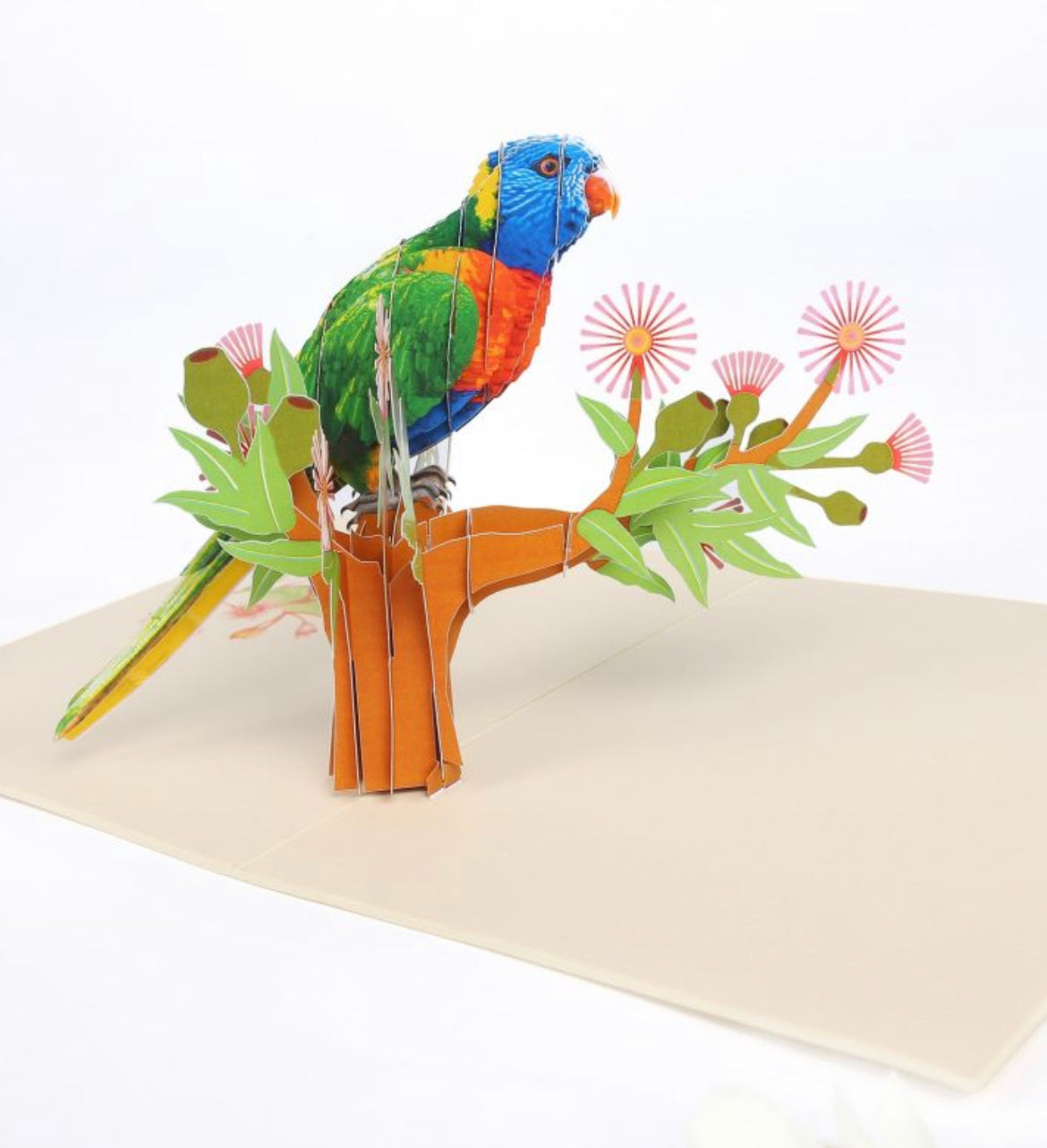 Vibrant Colors Perching Parrot #2